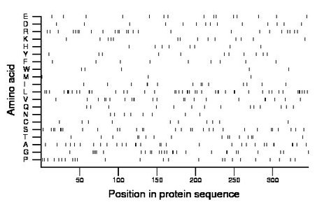 amino acid map