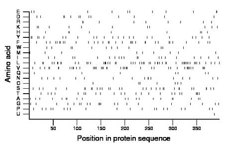 amino acid map
