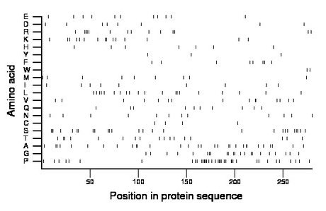 amino acid map