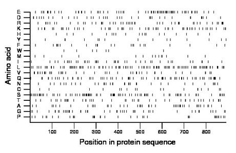 amino acid map