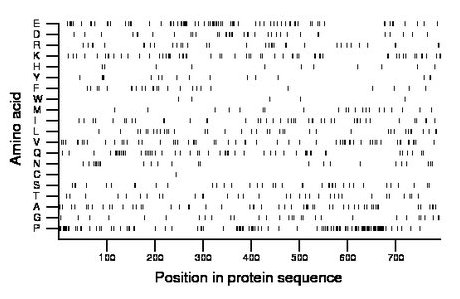amino acid map