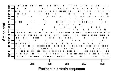 amino acid map