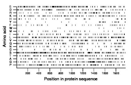 amino acid map