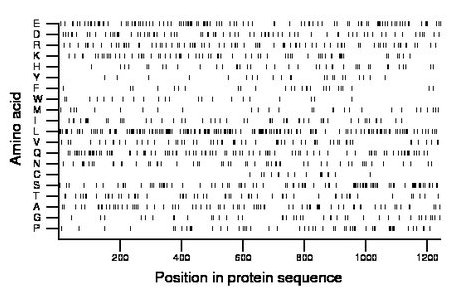 amino acid map