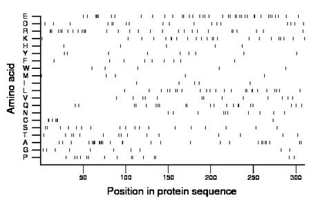 amino acid map