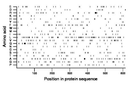 amino acid map