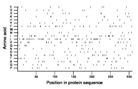 amino acid map