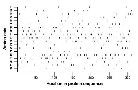 amino acid map