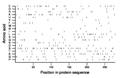 amino acid map