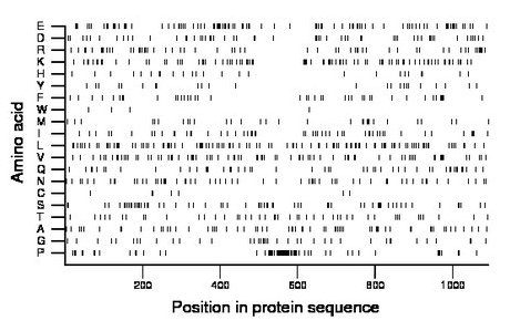 amino acid map