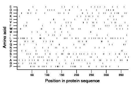 amino acid map