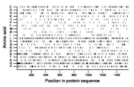 amino acid map