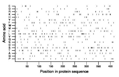 amino acid map