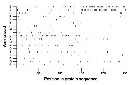 amino acid map
