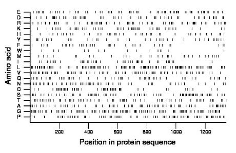 amino acid map