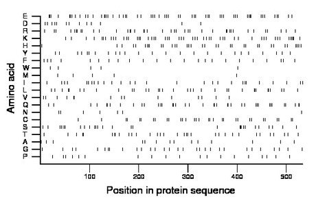 amino acid map