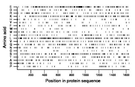 amino acid map