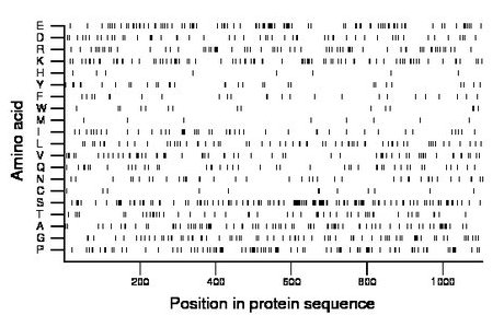amino acid map