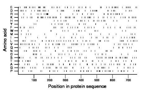 amino acid map