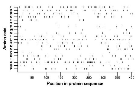 amino acid map