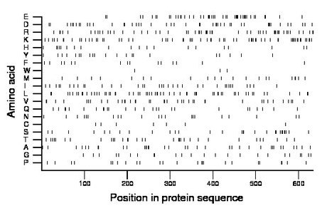 amino acid map