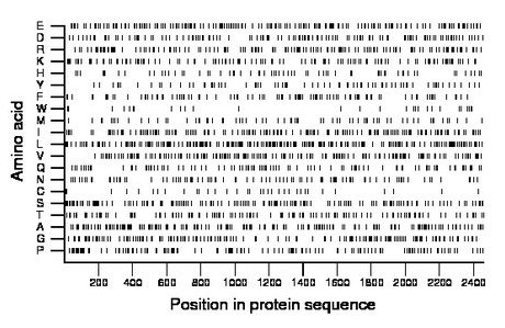 amino acid map