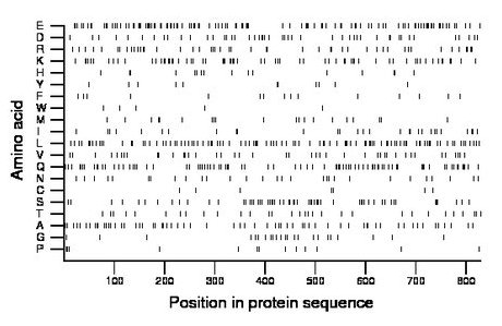 amino acid map