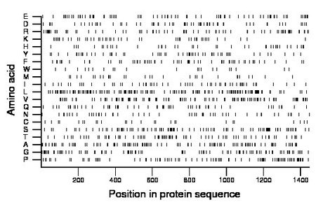 amino acid map