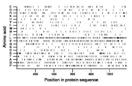 amino acid map