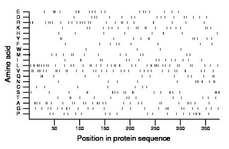 amino acid map
