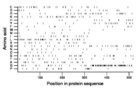 amino acid map