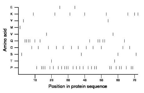 amino acid map