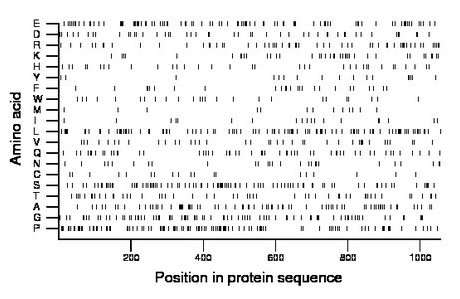 amino acid map
