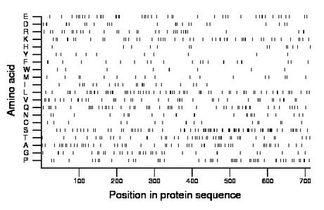 amino acid map