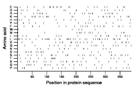 amino acid map