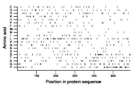 amino acid map