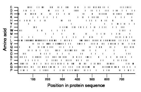 amino acid map