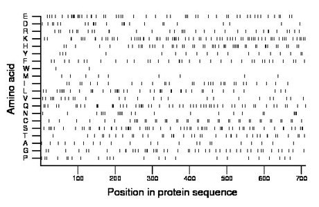 amino acid map