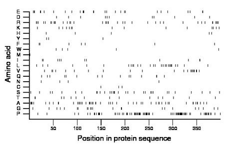 amino acid map