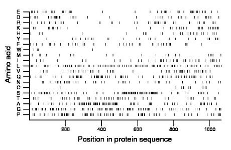 amino acid map