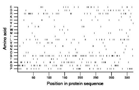 amino acid map