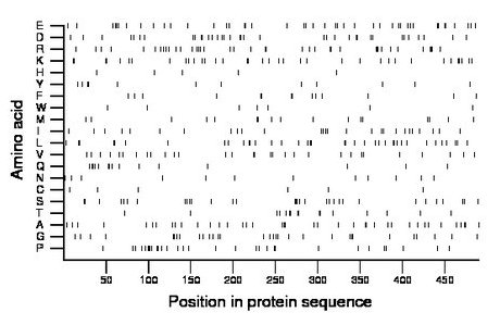 amino acid map