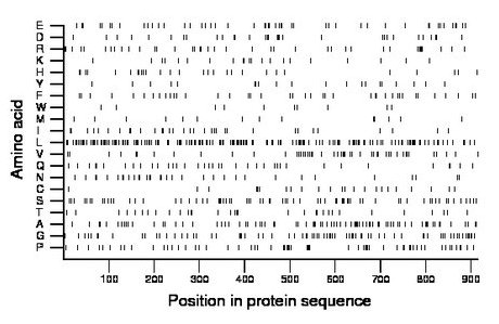 amino acid map