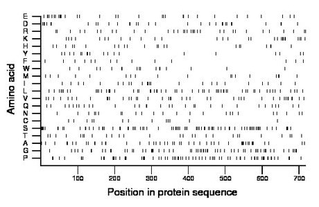amino acid map