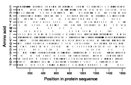 amino acid map