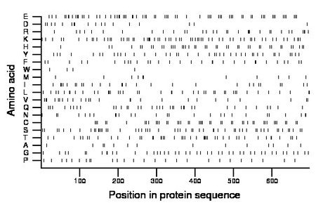 amino acid map