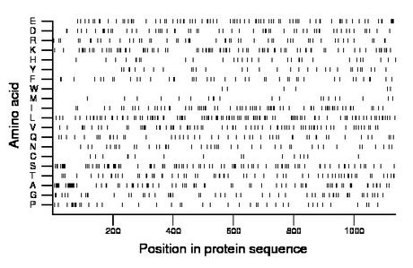 amino acid map
