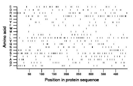amino acid map
