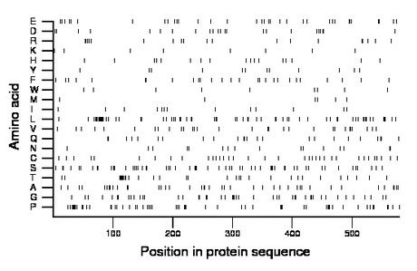 amino acid map