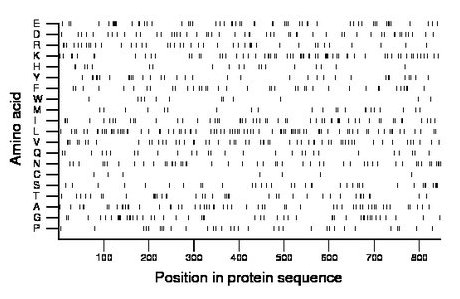 amino acid map
